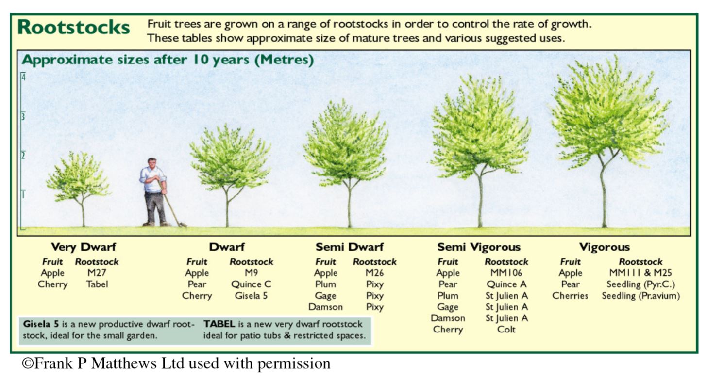 Fruit Tree Rootstocks